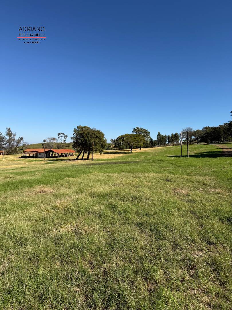 Terreno, 97 hectares - Foto 6