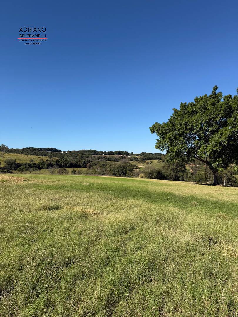 Terreno, 97 hectares - Foto 9