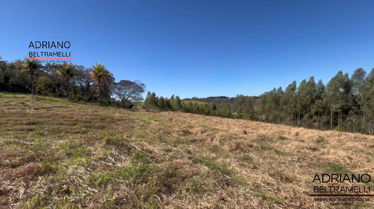 Terreno, 97 hectares - Foto 10