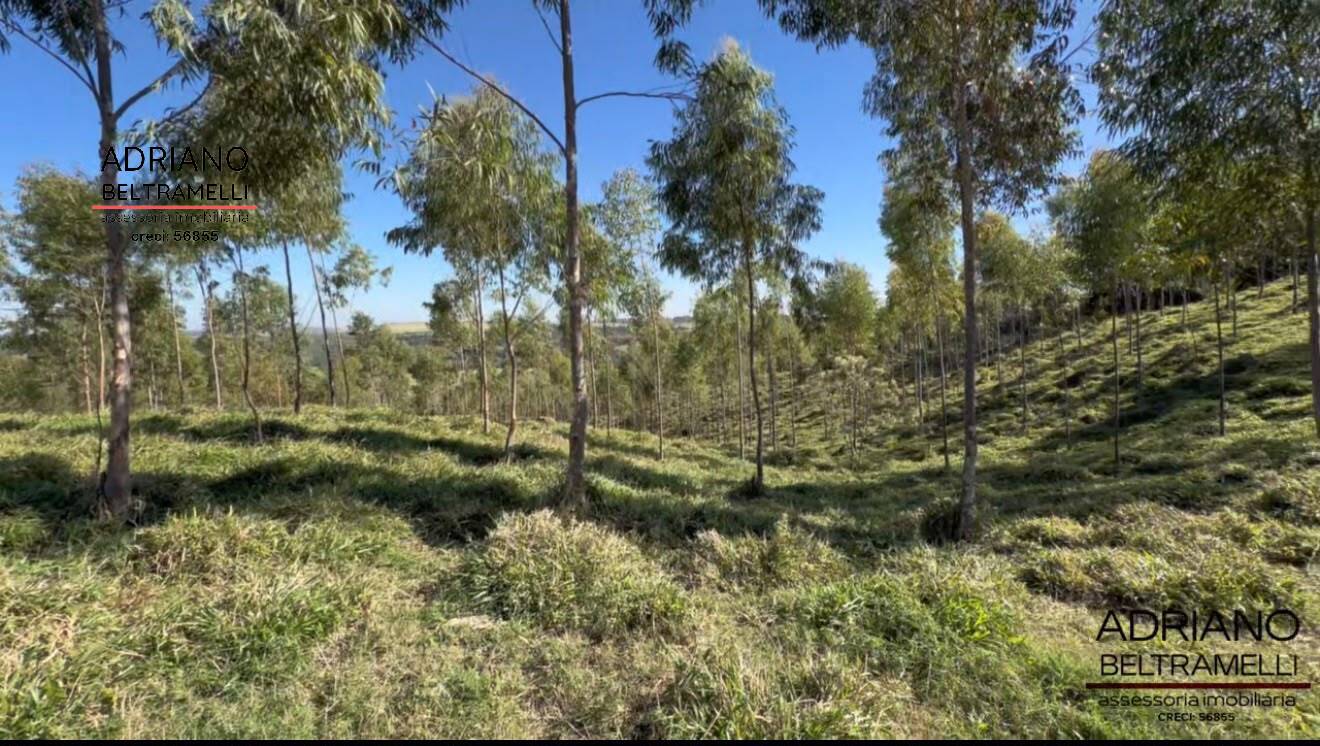 Terreno, 97 hectares - Foto 20