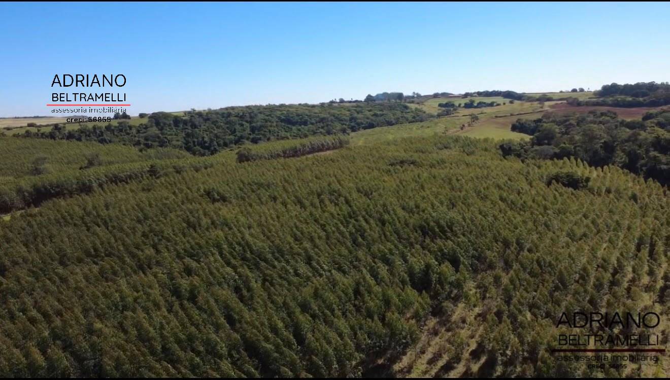 Terreno, 97 hectares - Foto 12