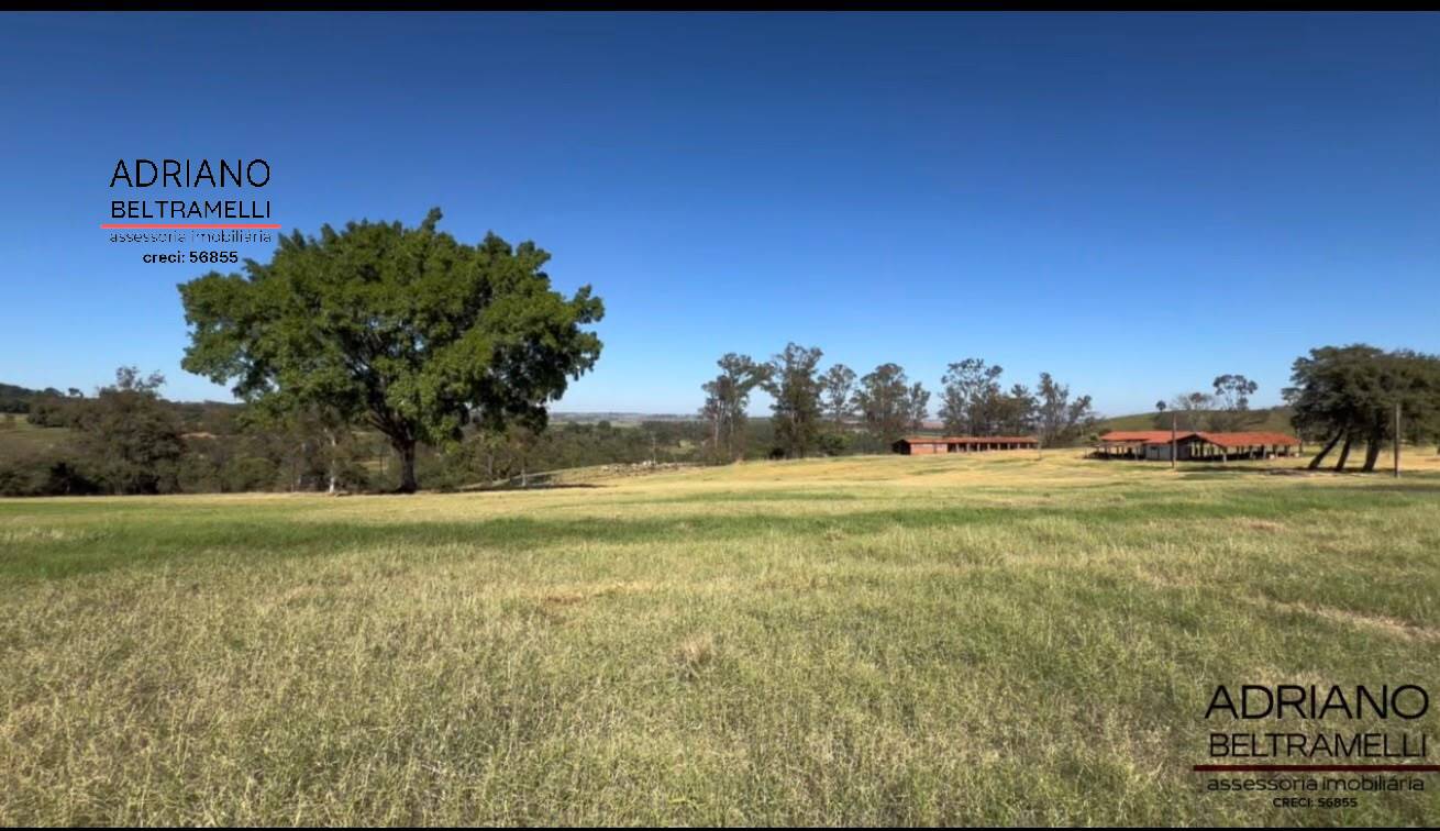 Terreno, 97 hectares - Foto 11