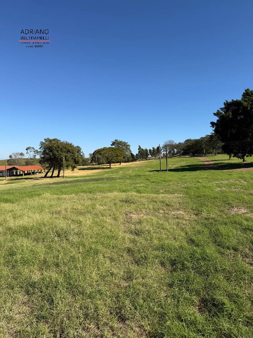 Terreno, 97 hectares - Foto 21