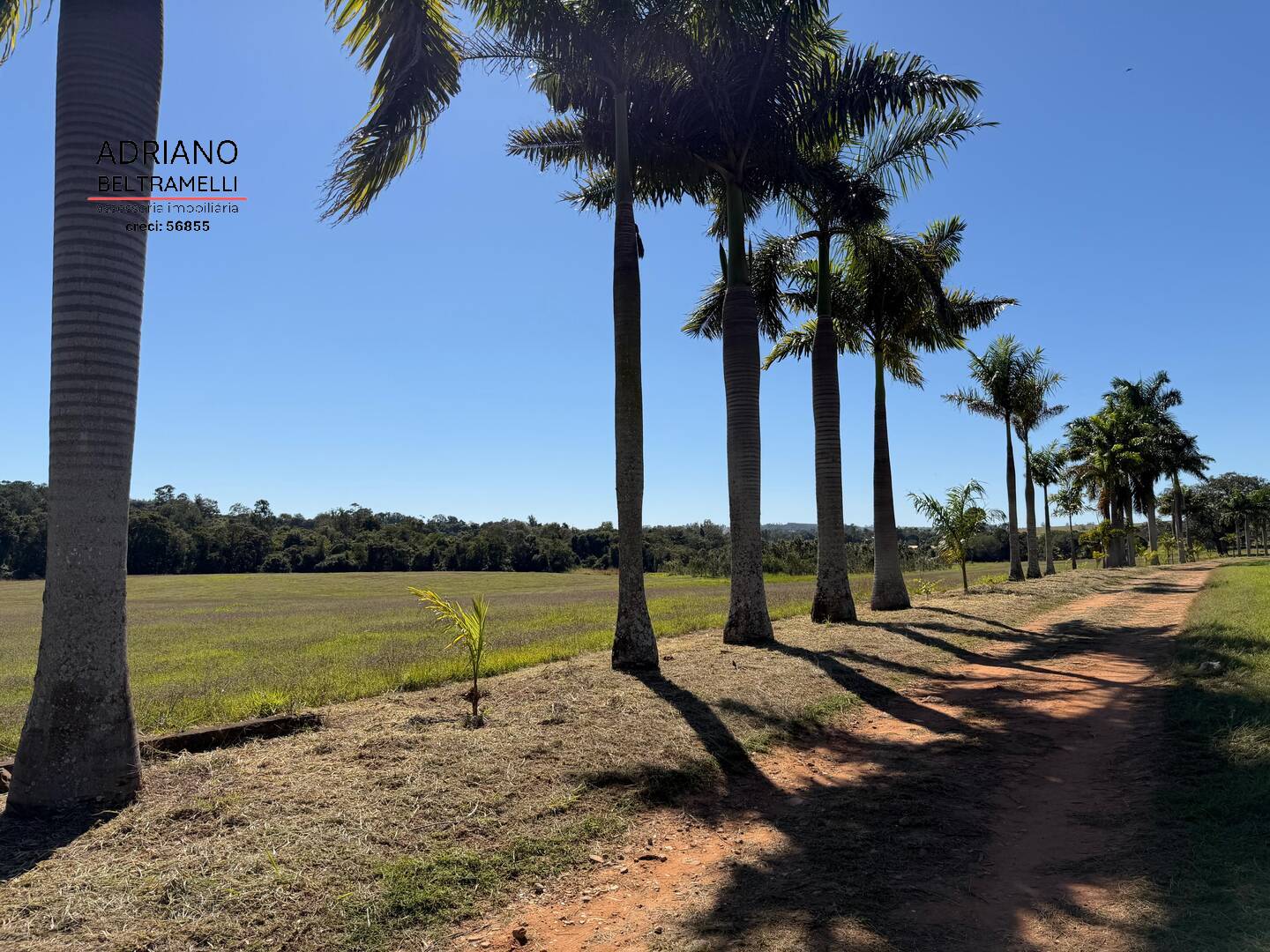 Terreno, 97 hectares - Foto 25