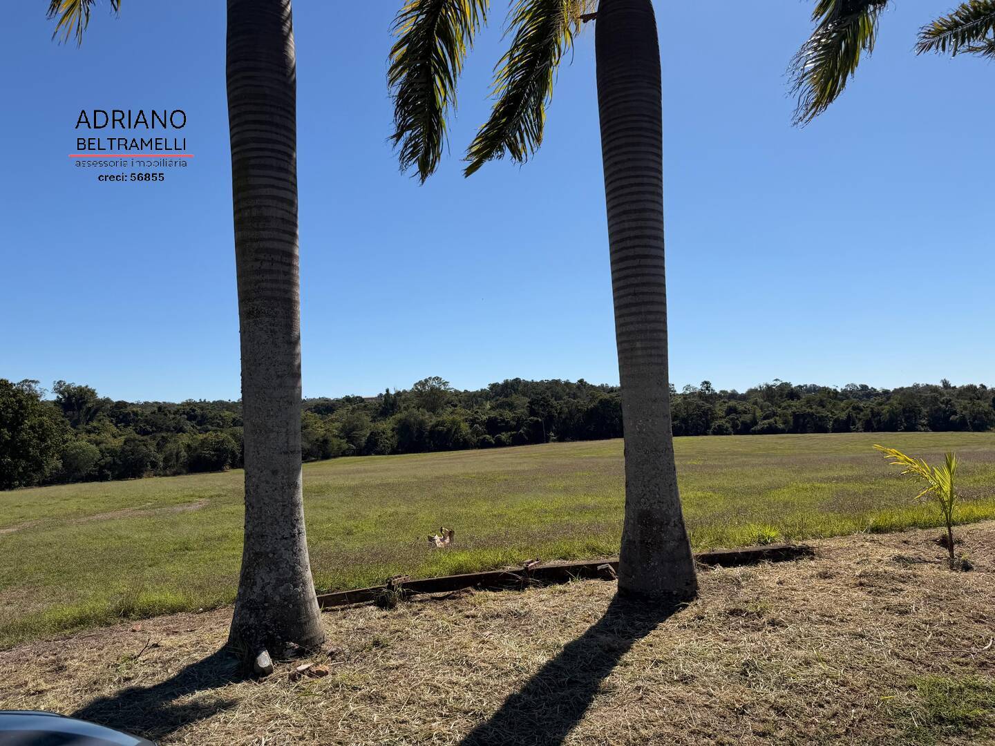 Terreno, 97 hectares - Foto 27