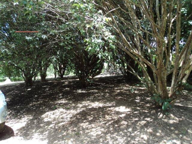 Terreno à venda, 3000m² - Foto 6