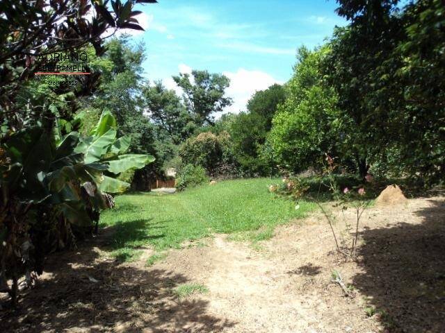 Terreno à venda, 3000m² - Foto 7