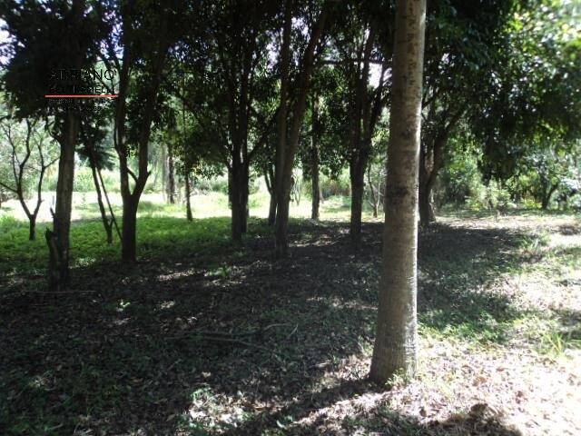 Terreno à venda, 2880m² - Foto 4