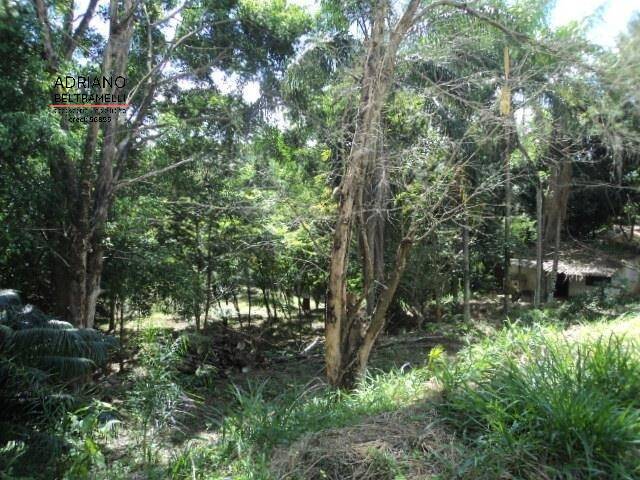Terreno à venda, 2880m² - Foto 11
