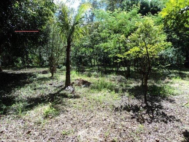 Terreno à venda, 2880m² - Foto 12