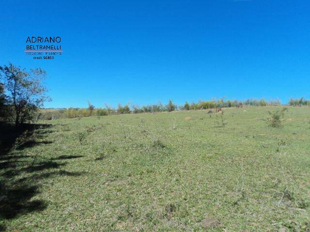 Sítio, 10 quartos, 14 hectares - Foto 13