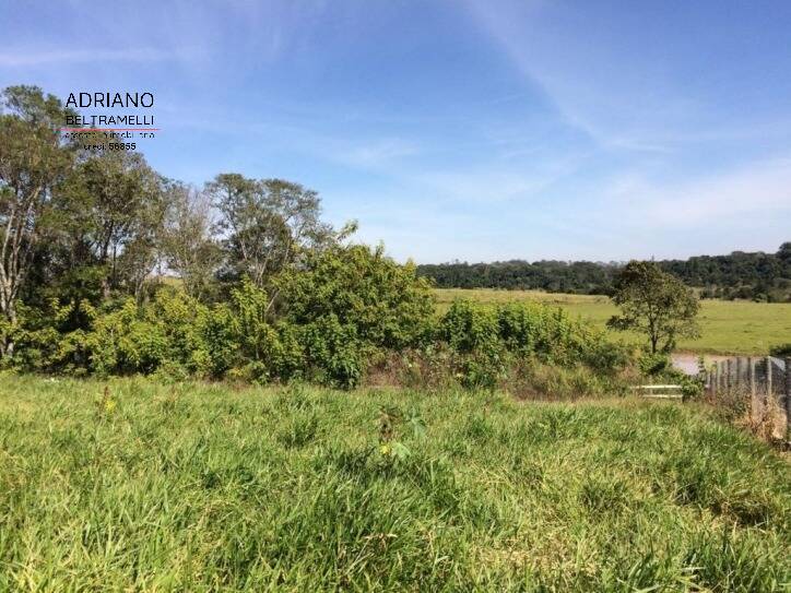 Terreno, 2 hectares - Foto 8