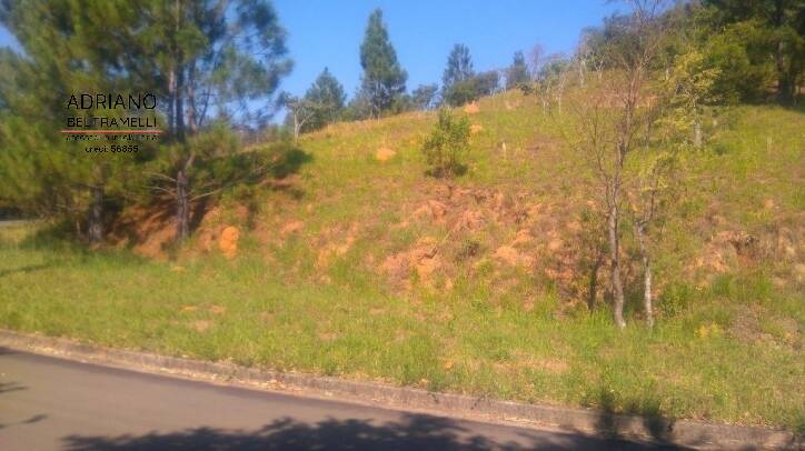 Terreno, 1570 m² - Foto 3