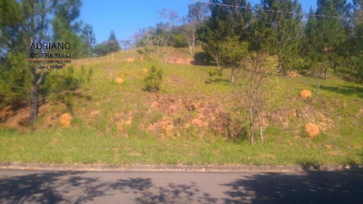 Terreno, 1570 m² - Foto 2