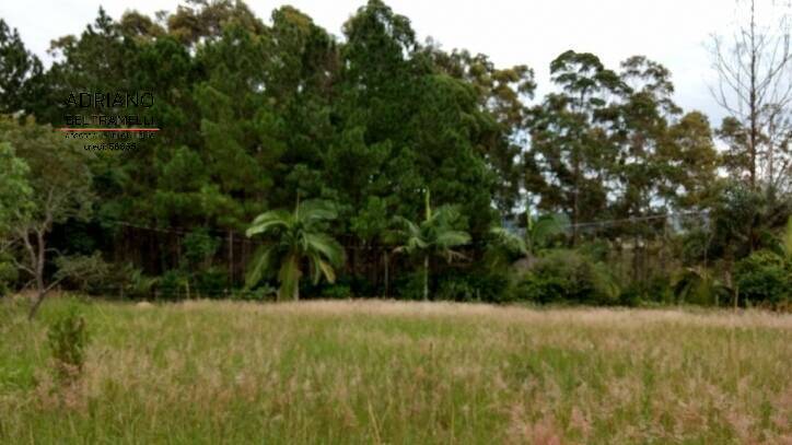 Sítio, 2 quartos, 7 hectares - Foto 2