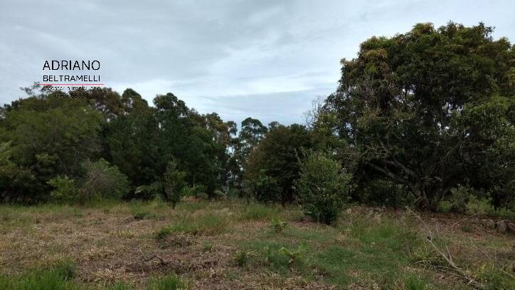 Sítio, 2 quartos, 7 hectares - Foto 4