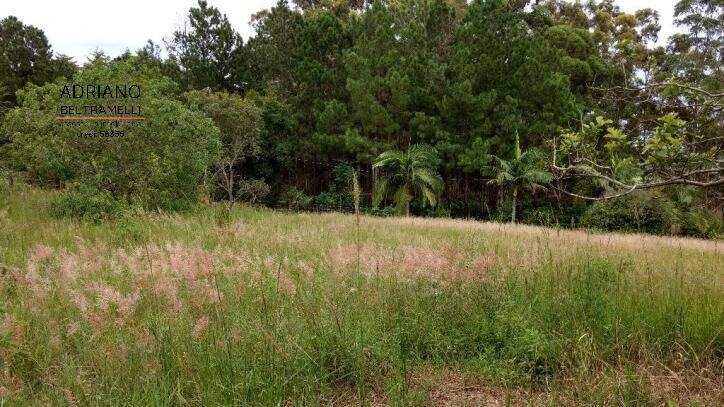 Sítio, 2 quartos, 7 hectares - Foto 6