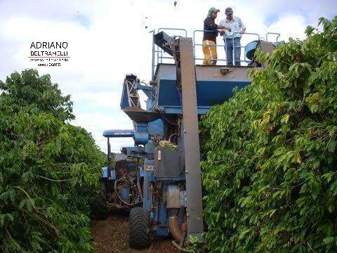 Fazenda à venda com 1 quarto, 3000m² - Foto 11