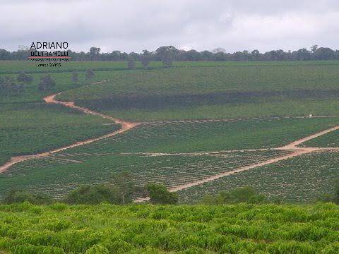 Fazenda à venda com 1 quarto, 3000m² - Foto 4