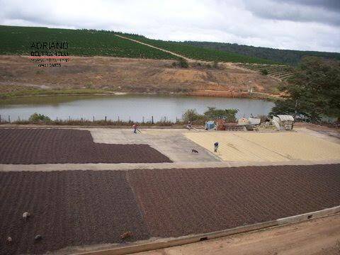 Fazenda à venda com 1 quarto, 3000m² - Foto 7