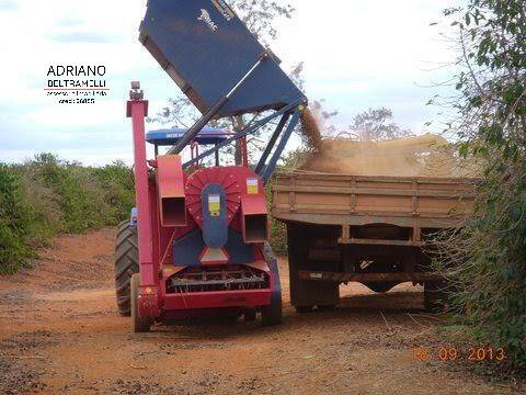 Fazenda à venda com 1 quarto, 3000m² - Foto 2