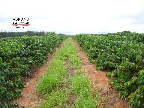 Fazenda à venda com 1 quarto, 3000m² - Foto 22