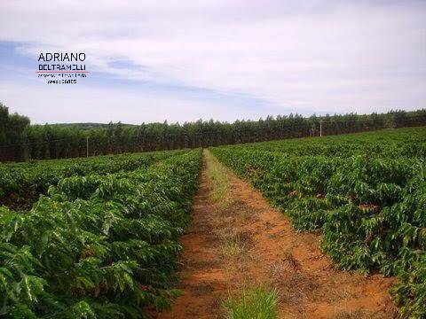 Fazenda à venda com 1 quarto, 3000m² - Foto 24