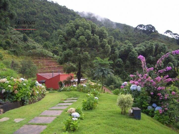 Sítio à venda com 6 quartos, 435600m² - Foto 6