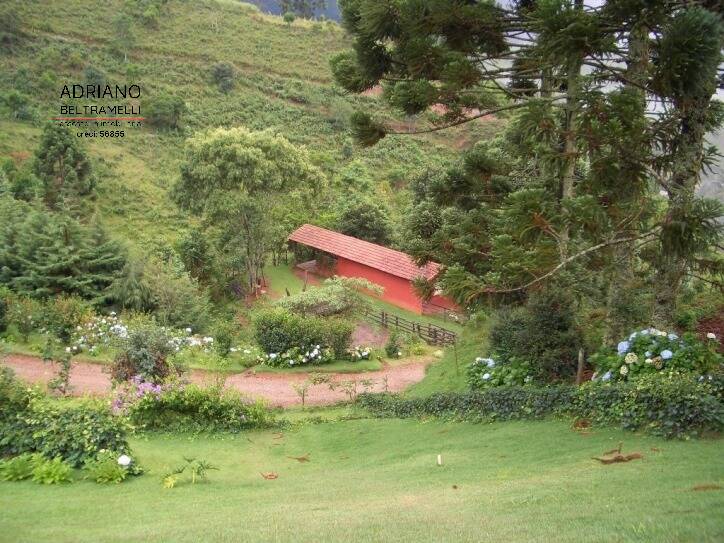 Sítio à venda com 6 quartos, 435600m² - Foto 4