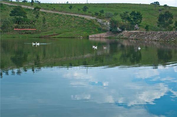 Terreno, 2 hectares - Foto 3