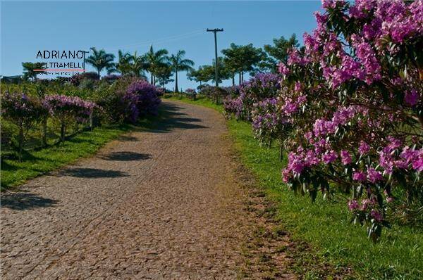 Terreno, 2 hectares - Foto 11