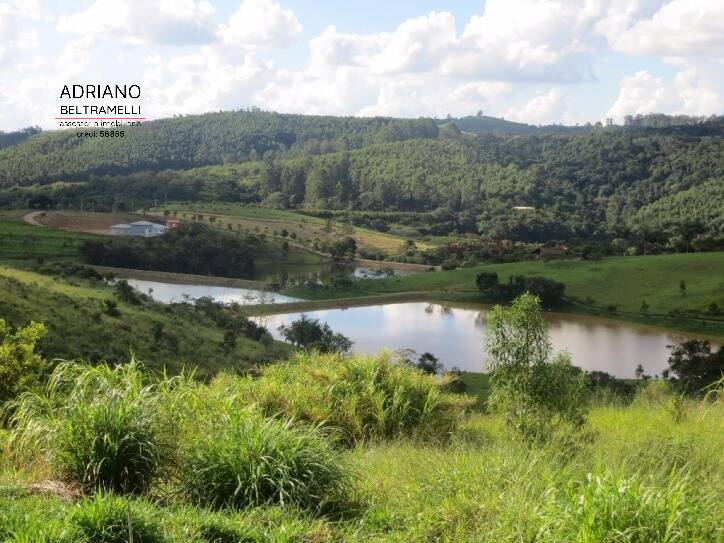 Terreno, 2 hectares - Foto 4