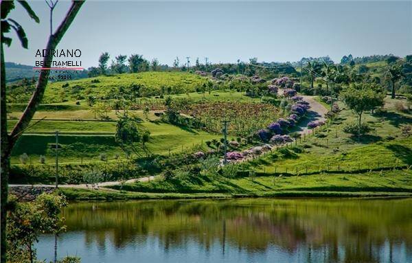 Terreno, 2 hectares - Foto 1