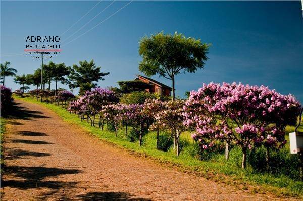 Terreno, 2 hectares - Foto 17