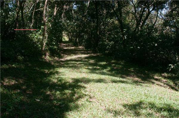 Terreno, 2 hectares - Foto 19