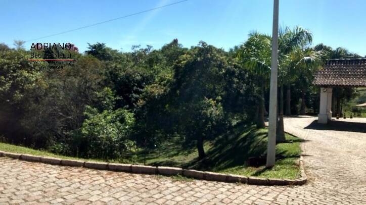 Terreno, 2 hectares - Foto 6