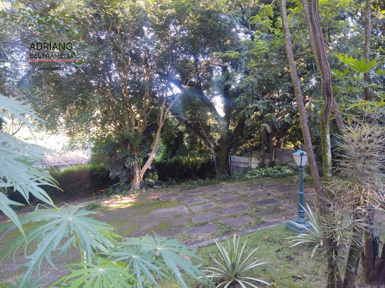 Chácara, 3 quartos, 4000 m² - Foto 2